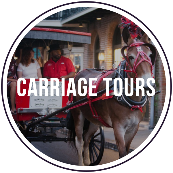 Click here for Carriage Tours!